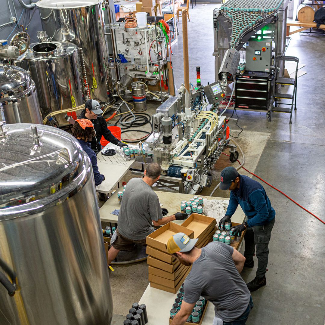 MBC employees working in a production line, canning MBC pale ale